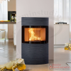 Kaminofen Austroflamm Fynn Xtra